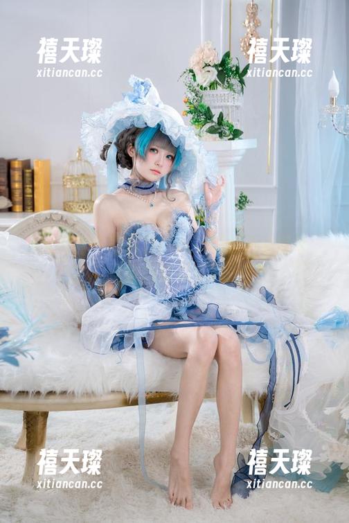 从此征服你的屏幕！九柒喵的高清壁纸，翠雀媚胜似春风！